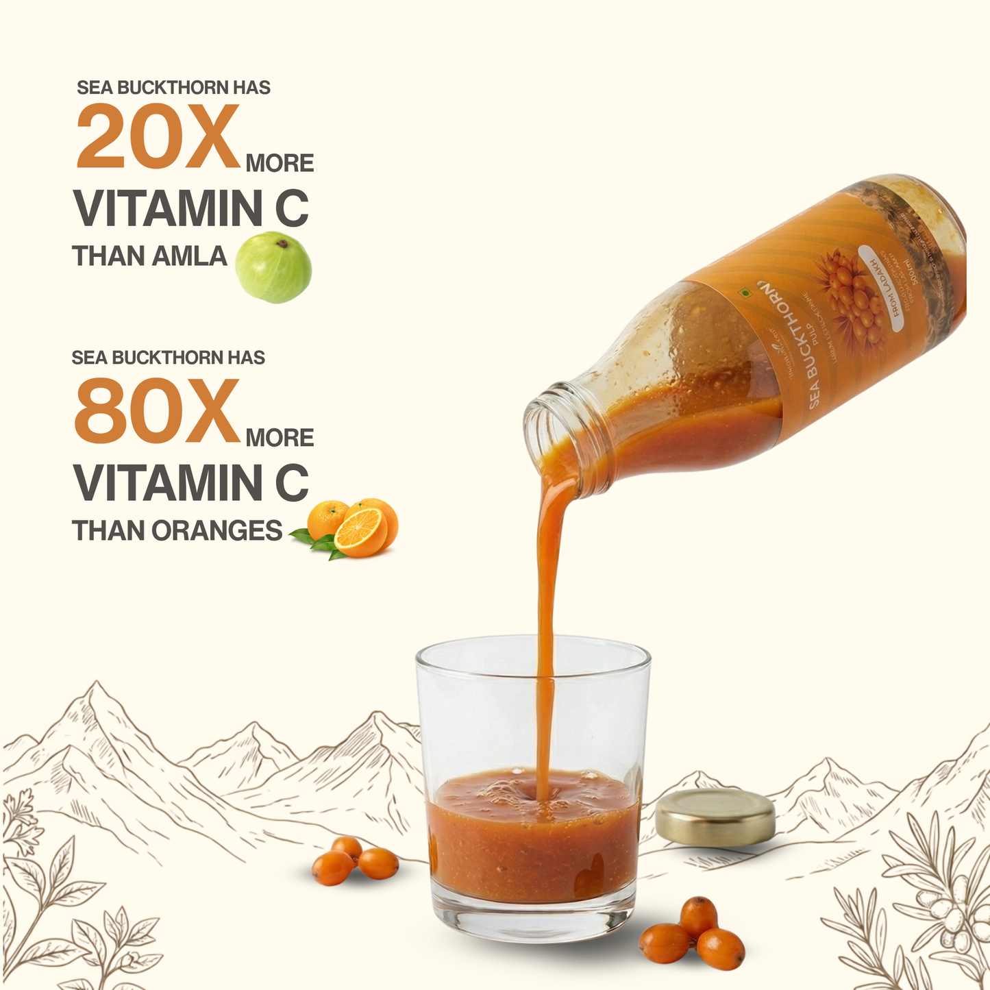 Sea Buckthorn: Nature's Most Powerful Berry, Bottled Pure